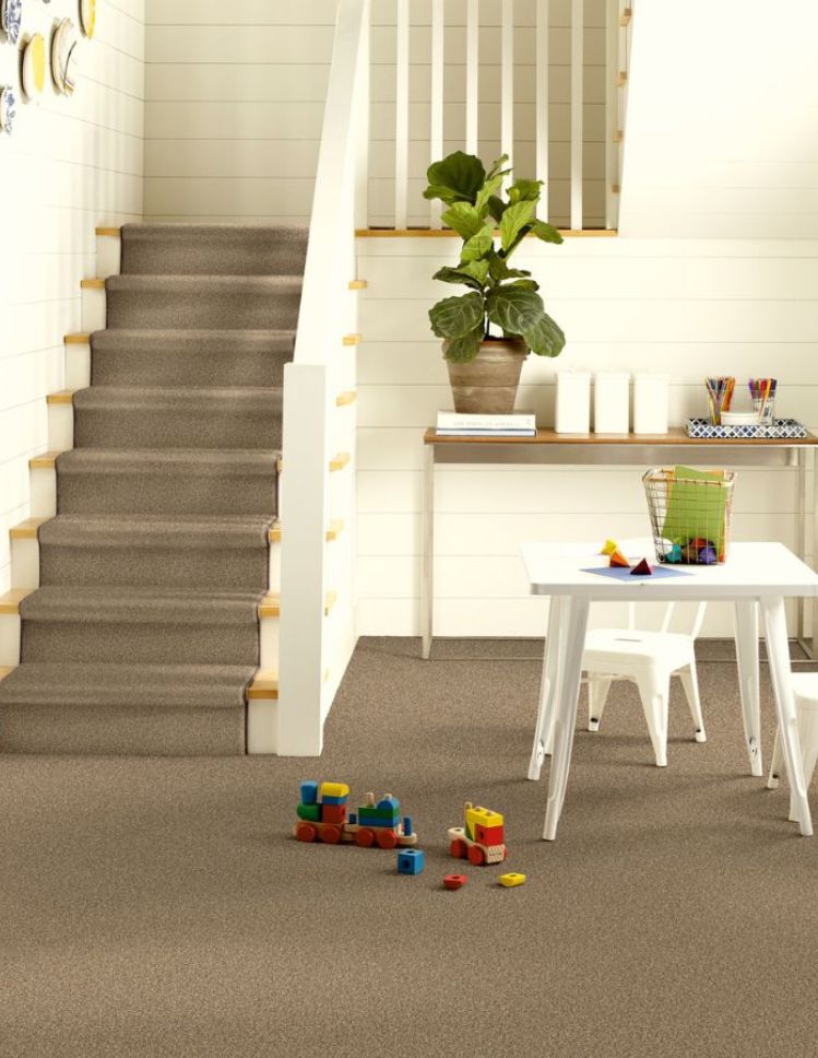 brown carpets in a Melbourne stairway