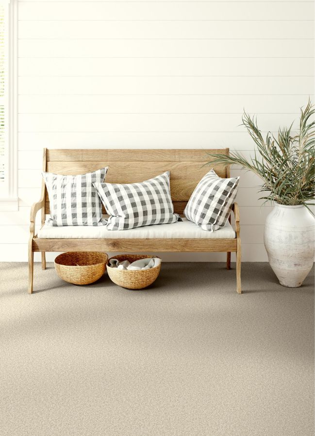 textured beige carpets in a rustic entryway