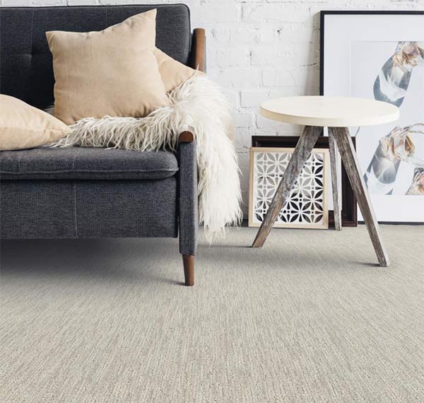 Great Southeast Flooring America Carpet Living Room Scene