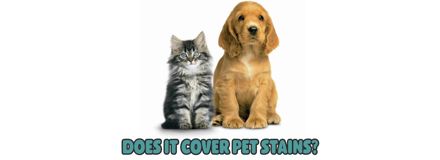 Does it Cover Pet Stains?