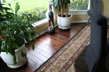 Floor and Plants