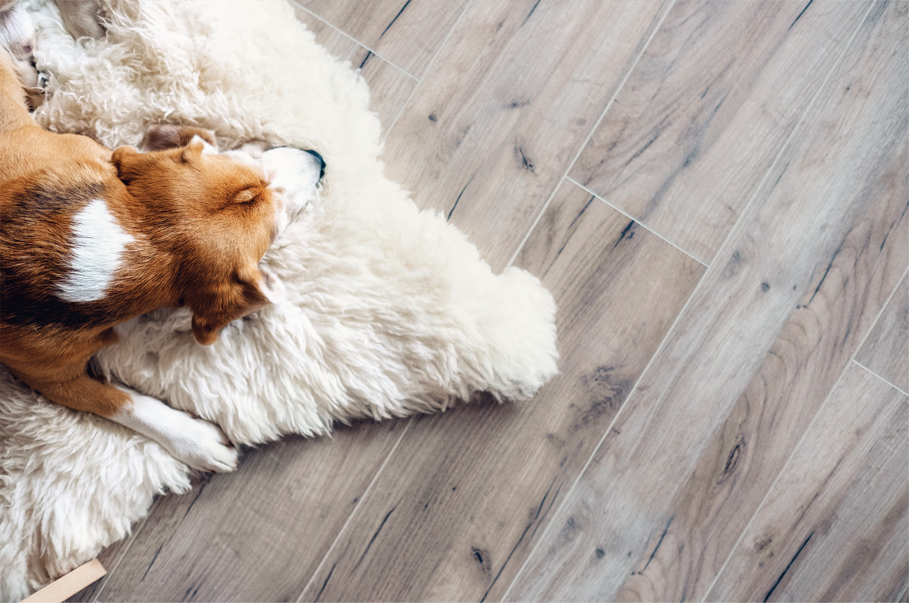 Great Southeast Flooring America Room Scene